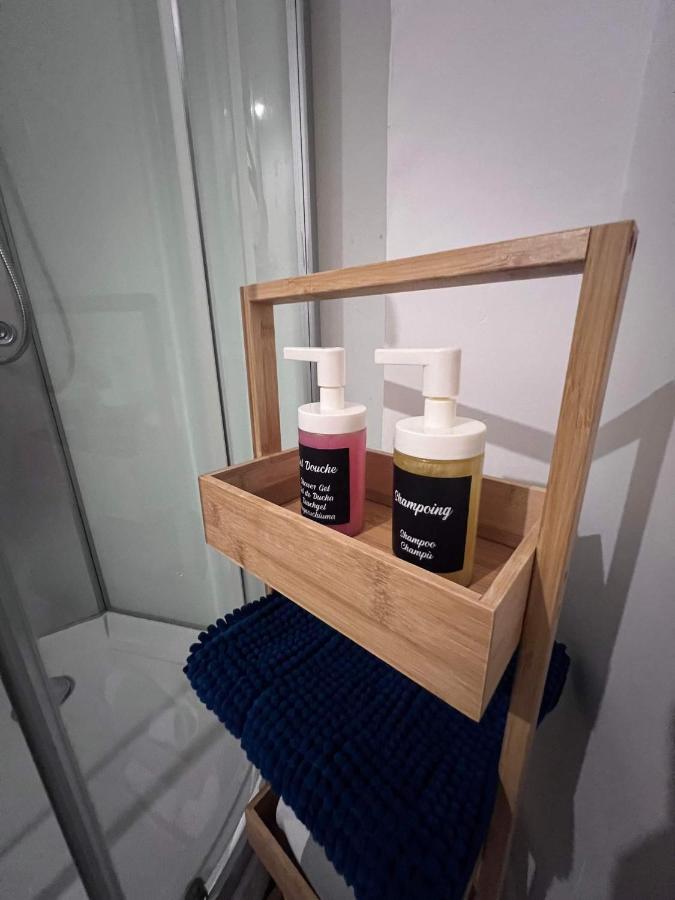 קרקסון Charmant Appartement Climatise Aux Pieds De La Cite מראה חיצוני תמונה