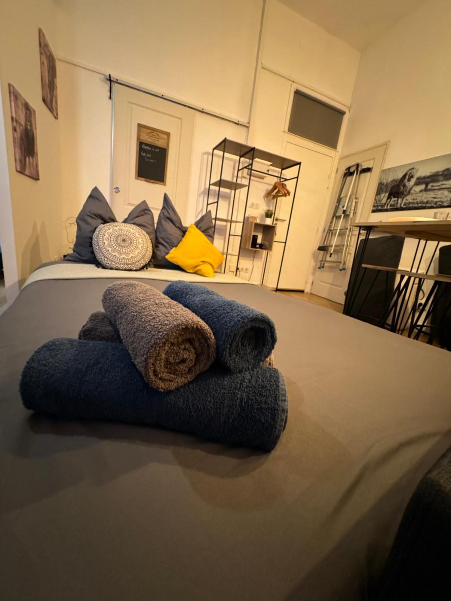 קרקסון Charmant Appartement Climatise Aux Pieds De La Cite מראה חיצוני תמונה